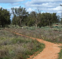 Grasslands Nature trail - Accommodation Coffs Harbour
