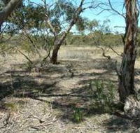 Tintinara Walking Trail - Accommodation Coffs Harbour