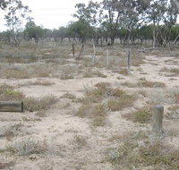 Culgoa Connellys track - Accommodation Coffs Harbour