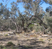 Mirri Mirru Yurun - Accommodation Coffs Harbour