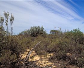 Wyperfeld National Park - Accommodation Coffs Harbour 0