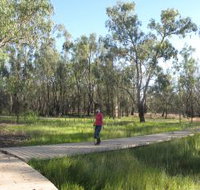 Ben Scott Memorial Bird Trail - Accommodation Coffs Harbour
