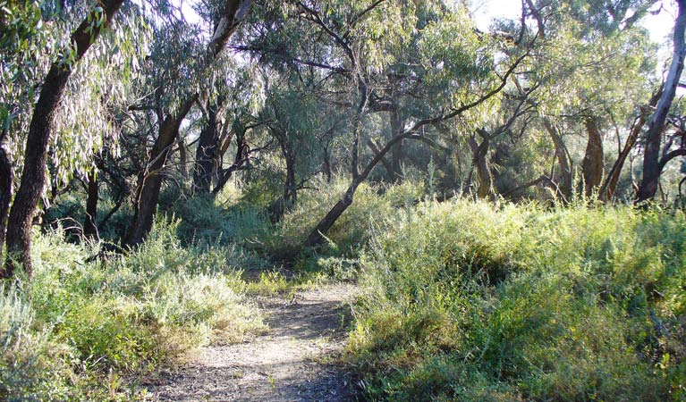 Roto NSW Accommodation Coffs Harbour