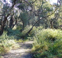Nilla Yannagalang Billana - Accommodation Coffs Harbour