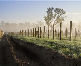 Andrew Peace Wines - Accommodation Coffs Harbour 5