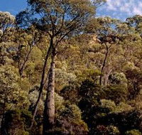 Ka Ka Mundi Carnarvon National Park - Accommodation Coffs Harbour
