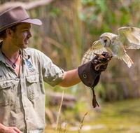 Territory Wildlife Park - Accommodation Coffs Harbour