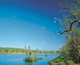 Nature's Way - Accommodation Coffs Harbour 5