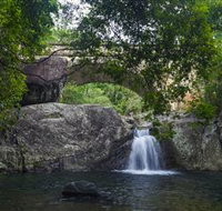 Paluma and Crystal Creek Rainforest - Accommodation Coffs Harbour
