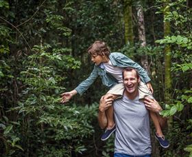 Paluma And Crystal Creek Rainforest - Accommodation Coffs Harbour 1