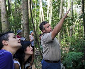 Paluma And Crystal Creek Rainforest - Accommodation Coffs Harbour 2