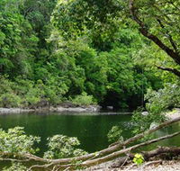 Broadwater Abergowrie State Forest - Accommodation Coffs Harbour
