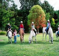 Limestone Coast Horseriding - Accommodation Coffs Harbour