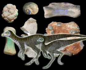 Australian Opal Centre - Accommodation Coffs Harbour 2