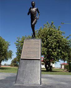 Railway Park Dirranbandi - Accommodation Coffs Harbour 1