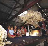 Shear Outback the Australian Shearers Hall of Fame - Accommodation Coffs Harbour