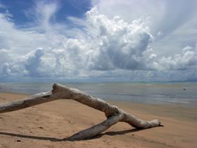Toolakea Beach - Accommodation Coffs Harbour 0