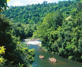 Tully Gorge National Park - Accommodation Coffs Harbour 0