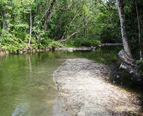 Tully Gorge National Park - Accommodation Coffs Harbour 2