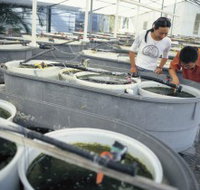 James Cook University of North Queensland - Accommodation Coffs Harbour