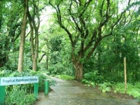 Townsville Palmetum - Accommodation Coffs Harbour 1