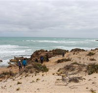 The Seaview Walking Trail - Accommodation Coffs Harbour