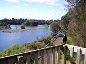 Lake McIntyre - Accommodation Coffs Harbour 0