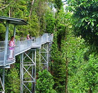 Mamu Tropical Skywalk - Accommodation Coffs Harbour