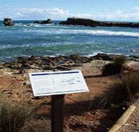 Cape Buffon Walking Trail - Accommodation Coffs Harbour