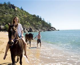 Horseshoe Bay - Accommodation Coffs Harbour 1