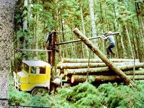 Nangwarry Forestry And Logging Museum - Accommodation Coffs Harbour 3