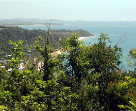 Clump Mountain National Park - Accommodation Coffs Harbour 1