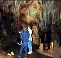 Tantanoola Caves Conservation Park - Accommodation Coffs Harbour
