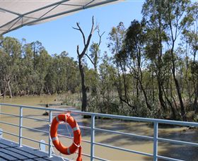 Wetlander Cruises - Accommodation Coffs Harbour 6