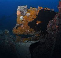 Lady Bowen Dive Site - Accommodation Coffs Harbour