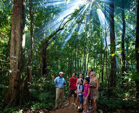 Mossman Gorge Centre - Accommodation Coffs Harbour 3
