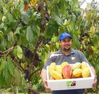 Sweet Farm Tours - Accommodation Coffs Harbour