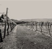 Halls Gap Estate - Accommodation Coffs Harbour