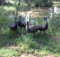 East Tolans Farm Tour - Accommodation Coffs Harbour