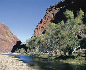 Coppin Gap - Accommodation Coffs Harbour 0