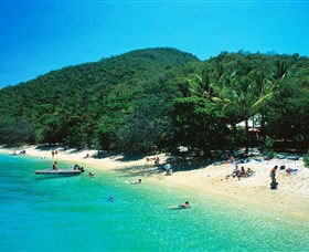 Fitzroy Island National Park - Accommodation Coffs Harbour 2