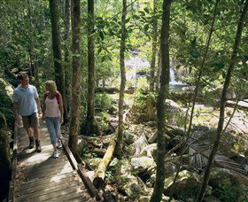 Eungella National Park - Accommodation Coffs Harbour 2