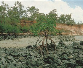 Garig Gunak Barlu National Park - Accommodation Coffs Harbour 3