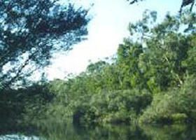 Condah ACT Accommodation Coffs Harbour