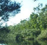 Crawford River Regional Park - Accommodation Coffs Harbour