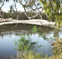 Murray Valley National Park - Accommodation Coffs Harbour
