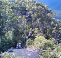Mia Mia State Forest - Accommodation Coffs Harbour