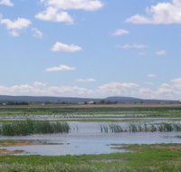 Fivebough Wetlands - Accommodation Coffs Harbour