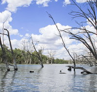 Murrumbidgee Valley National Park - Accommodation Coffs Harbour