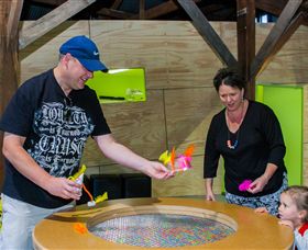 Twisted - Science At Play - Accommodation Coffs Harbour 2